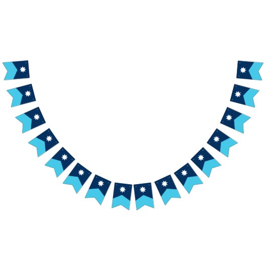 Minnesota State Flag Pennant Bunting Vlaggetjes (Alle)