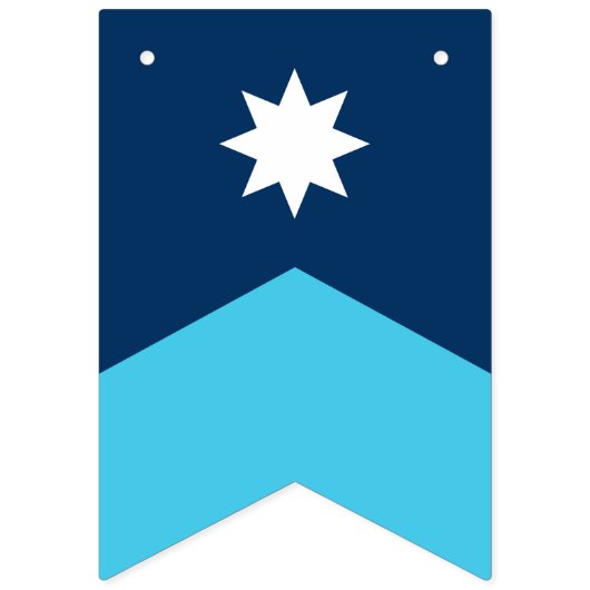 Minnesota State Flag Pennant Bunting Vlaggetjes (Tweede vlag)