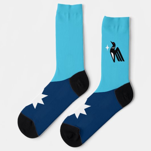Minnesota State Flag Sokken (Links)