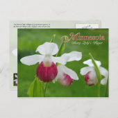 Minnesota State Flower: Showy Lady's Slipper Briefkaart (Voorkant / Achterkant)