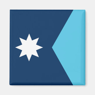 Minnesota state new flag symbol USA America Magneet