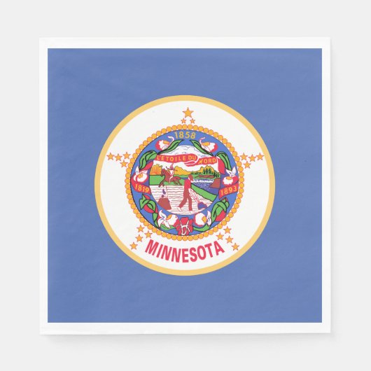 Minnesota State Vlag Servet (Voorkant)