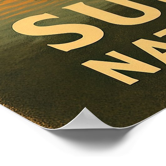 Minnesota Superior National Forest V02 Poster (Hoek)