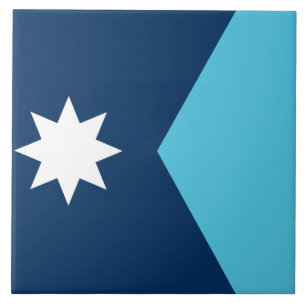 Minnesota Vlag Tegel Tegeltje