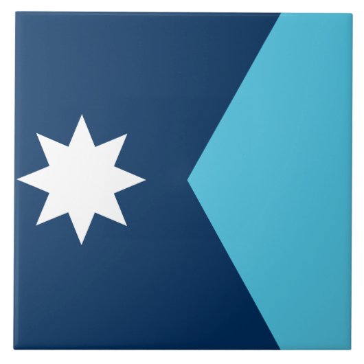Minnesota Vlag Tegel Tegeltje (Voorkant)
