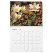 Minnesota Wildflower 2026 12 maanden wandkalender Kalender (Feb 2026)