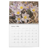 Minnesota Wildflower 2026 12 maanden wandkalender Kalender (Jan 2026)