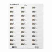 Minnesota Zephyr Train Return Address Labels (Full Sheet)