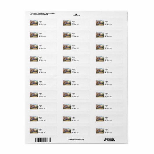 Minnesota Zephyr Train Return Address Labels (Full Sheet)