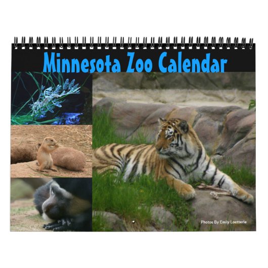 Minnesota Zoo Calendar Kalender (Hoes)