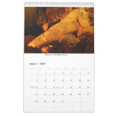 Minnetonka Cave 18-maandelijkse kalender (Mar 2027)