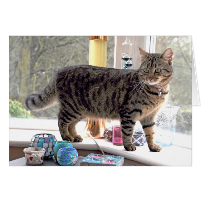 Minnie (Voorkant Horizontaal)