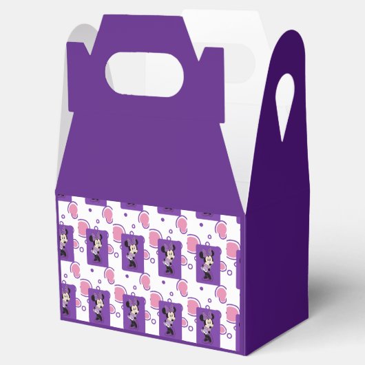 Minnie Bedankdoosjes (Geopend)