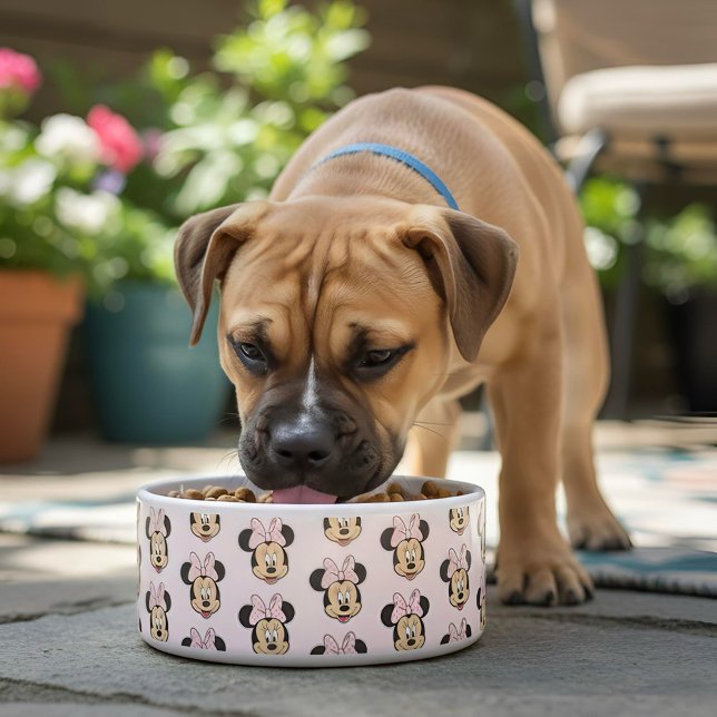 Minnie Bowl Voerbakje (Creator heeft geüpload)