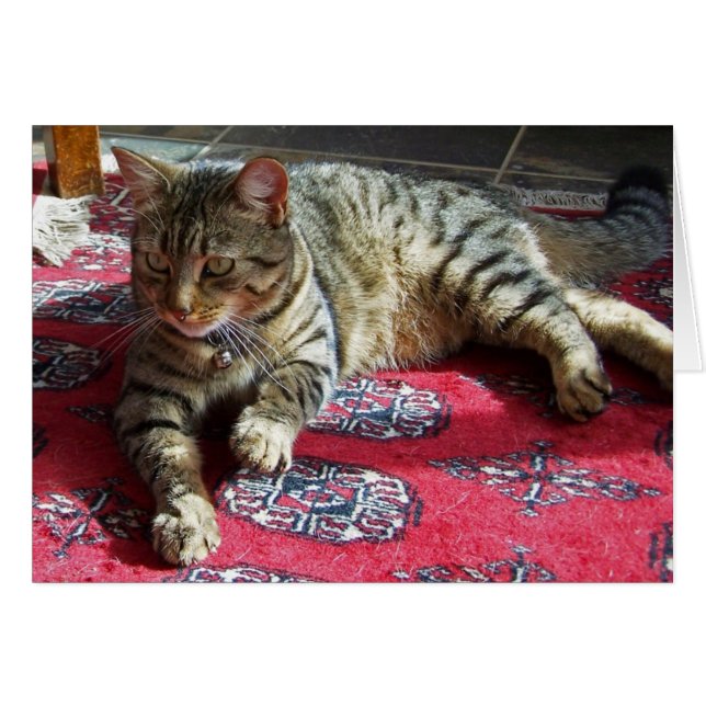 Minnie in Sunshine2 (Voorkant Horizontaal)