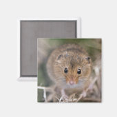 Minnie Magnet (Voorkant / Achterkant)