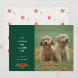 Minnimale malse grapjes huisdier kerstfoto feestdagenkaart