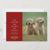 Minnimale malse uitdrukking huisdier kerstfoto feestdagenkaart (Voorkant)