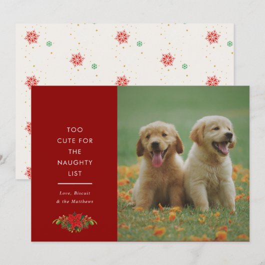 Minnimale malse uitdrukking huisdier kerstfoto feestdagenkaart (Voorkant / Achterkant)