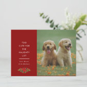 Minnimale malse uitdrukking huisdier kerstfoto feestdagenkaart (Staand voorkant)