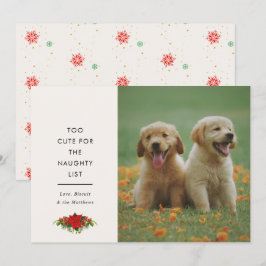 Minnimale malse uitdrukking huisdier kerstfoto feestdagenkaart