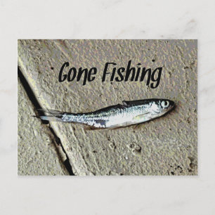Minnow Bait "Gone Vist" Briefkaart