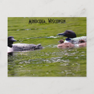 Minocqua Wisconsin Briefkaart Lake Up North Loons