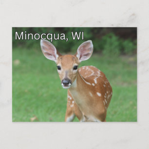 Minocqua Wisconsin Briefkaart Souvenir