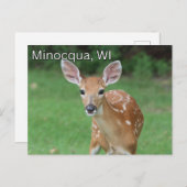 Minocqua Wisconsin Briefkaart Souvenir (Voorkant / Achterkant)