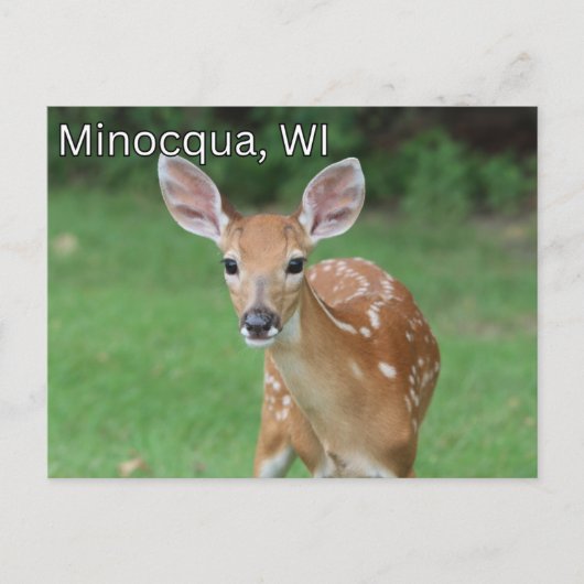 Minocqua Wisconsin Briefkaart Souvenir (Voorkant)