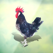 Minorca haan raamsticker (Vel 3)