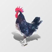 Minorca haan raamsticker (Vel)