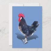 Minorca Rooster Bedankkaart (Voorkant)