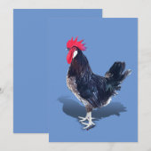 Minorca Rooster Bedankkaart (Voorkant / Achterkant)