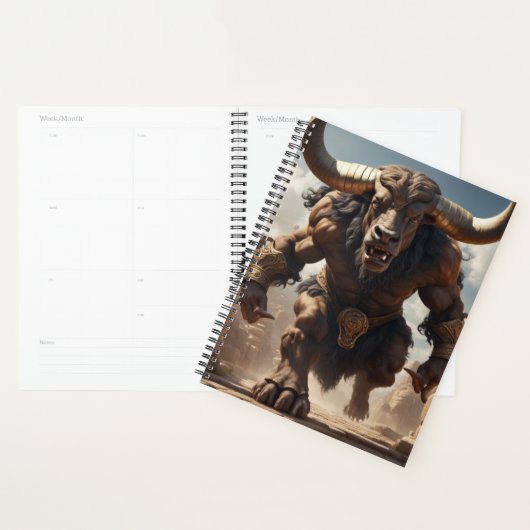 Minotaur Planner (Display)