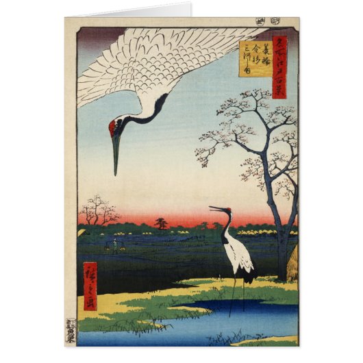 Minowa kanasugi mikawashima (Voorkant)