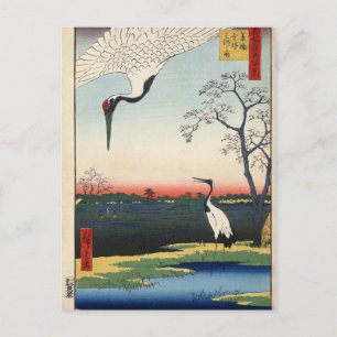 Minowa, Kanasugi, Mikawashima. Briefkaart