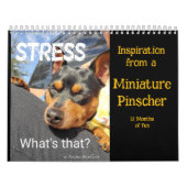 MinPIn Inspiratie Kalender (Hoes)