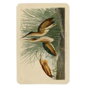 Minst Bittern uit Audubon's Birds of America Magneet (Verticaal)
