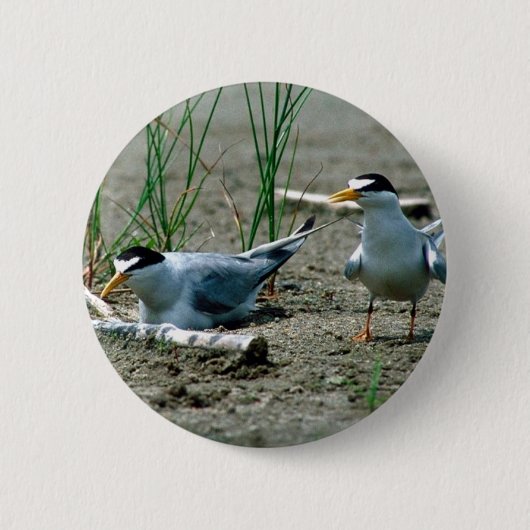 Minst Termijnen Ronde Button 5,7 Cm (Voorkant)