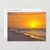 Minstens Terns op een strand van Florida op Sunris Briefkaart (Voorkant / Achterkant)