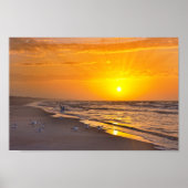 Minstens Terns op het strand, Money Bayou Beach, F Poster (Voorkant)