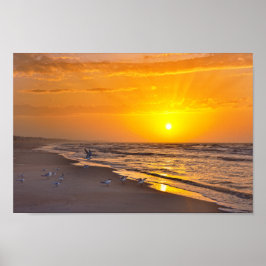 Minstens Terns op het strand, Money Bayou Beach, F Poster