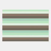 Mint Chocolade Chip Kleur Blok Strepen Inpakpapier Vel (Voorkant 3)