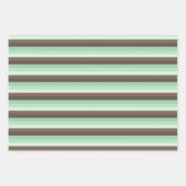 Mint Chocolade Chip Kleur Blok Strepen Inpakpapier Vel (Voorkant)