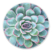 Mint cyaan vetplanten Echeveria Keramische Knop (Voorkant)
