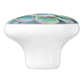 Mint cyaan vetplanten Echeveria Keramische Knop (Zijkant)