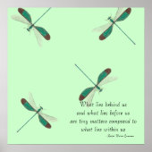 Mint Dragonflies wat achter ons ligt Poster (Voorkant)