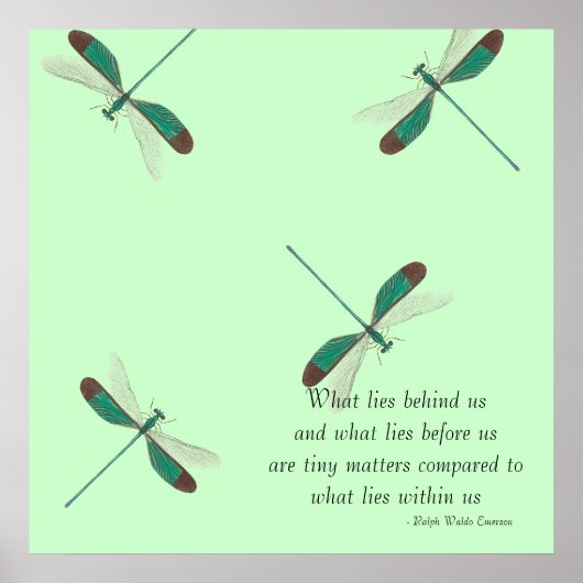 Mint Dragonflies wat achter ons ligt Poster (Voorkant)