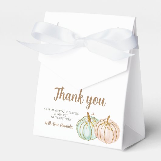 Mint en Peach Pumpkin Gender Reopenbaarmakingsfees Bedankdoosjes (Voorkant Zijde)